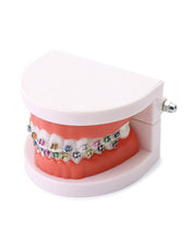 Cargar imagen en el visor de la galería, Modelo anatómico de dentadura con de demostración de ortodoncia