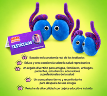 Cargar imagen en el visor de la galería, Peluche de Testículos - GIANTmicrobes