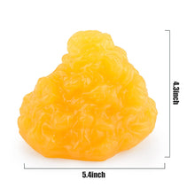 Cargar imagen en el visor de la galería, Modelo anatómico de grasa de 1 lb y réplica muscular de 1 libra con base para demostración para nutricionista.