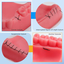 Cargar imagen en el visor de la galería, Kit de práctica dental de 25 piezas de práctica oral  para entrenamiento de asistente dental y práctica estudiantil
