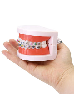 Modelo anatómico de dentadura con de demostración de ortodoncia
