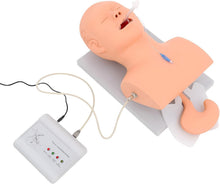 Cargar imagen en el visor de la galería, Modelo humano de intubación endotraqueal Intubación traqueal oral/nasal