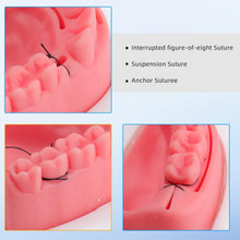 Cargar imagen en el visor de la galería, Kit de práctica dental de 25 piezas de práctica oral  para entrenamiento de asistente dental y práctica estudiantil