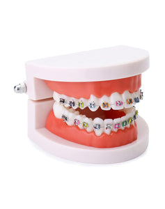 Modelo anatómico de dentadura con de demostración de ortodoncia