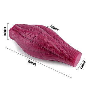 Modelo anatómico de grasa de 1 lb y réplica muscular de 1 libra con base para demostración para nutricionista.
