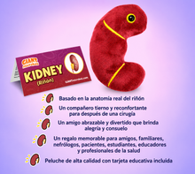 Cargar imagen en el visor de la galería, Peluche del Riñón - GIANTmicrobes