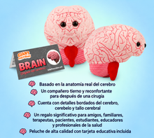 Cargar imagen en el visor de la galería, Peluche de Cerebro - GIANTmicrobes