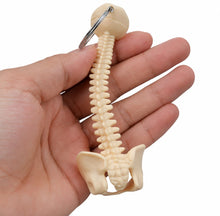 Cargar imagen en el visor de la galería, Llavero Anatómico de Columna Vertebral