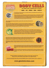 Cargar imagen en el visor de la galería, Caja de Peluches de Células del cuerpo - GIANTmicrobes