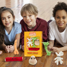 Cargar imagen en el visor de la galería, Caja de Peluches de Células del cuerpo - GIANTmicrobes