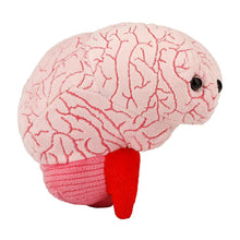 Cargar imagen en el visor de la galería, Peluche de Cerebro - GIANTmicrobes