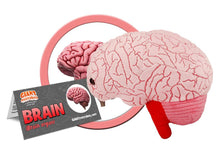 Cargar imagen en el visor de la galería, Peluche de Cerebro - GIANTmicrobes