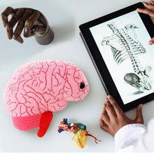 Cargar imagen en el visor de la galería, Peluche de Cerebro - GIANTmicrobes