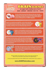 Cargar imagen en el visor de la galería, Caja de Peluches de Neurociencia - GIANTmicrobes