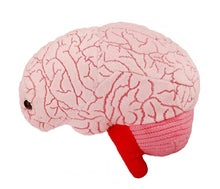 Cargar imagen en el visor de la galería, Peluche de Cerebro - GIANTmicrobes