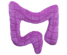 Cargar imagen en el visor de la galería, Peluche de Colon - GIANTmicrobes