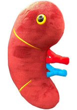 Cargar imagen en el visor de la galería, Peluche de Riñón deluxe con cálculos renales - GIANTmicrobes