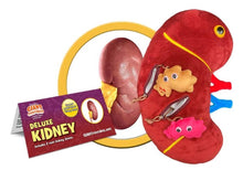 Cargar imagen en el visor de la galería, Peluche de Riñón deluxe con cálculos renales - GIANTmicrobes