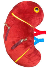 Cargar imagen en el visor de la galería, Peluche de Riñón deluxe con cálculos renales - GIANTmicrobes