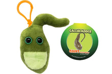 Cargar imagen en el visor de la galería, Llavero de vesícula biliar - GIANTmicrobes