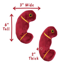 Cargar imagen en el visor de la galería, Peluche del Riñón - GIANTmicrobes