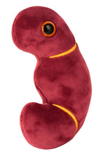 Cargar imagen en el visor de la galería, Peluche del Riñón - GIANTmicrobes
