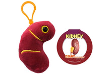 Cargar imagen en el visor de la galería, Llavero con forma de riñón - GIANTmicrobes
