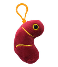 Cargar imagen en el visor de la galería, Llavero con forma de riñón - GIANTmicrobes