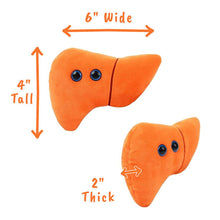 Cargar imagen en el visor de la galería, Peluche del Hígado - GIANTmicrobes