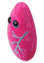 Cargar imagen en el visor de la galería, Peluche del Pulmón - GIANTmicrobes