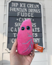Cargar imagen en el visor de la galería, Peluche del Pulmón - GIANTmicrobes