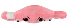 Cargar imagen en el visor de la galería, Peluche de Útero con síndrome premenstrual - GIANTmicrobes