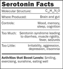 Cargar imagen en el visor de la galería, Llavero de serotonina - GIANTmicrobes
