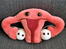 Cargar imagen en el visor de la galería, Peluche de Útero - GIANTmicrobes
