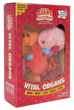 Cargar imagen en el visor de la galería, Caja de Peluches de Órganos vitales - GIANTmicrobes