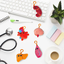 Cargar imagen en el visor de la galería, Caja de Peluches de Órganos vitales - GIANTmicrobes