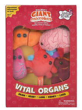 Cargar imagen en el visor de la galería, Caja de Peluches de Órganos vitales - GIANTmicrobes