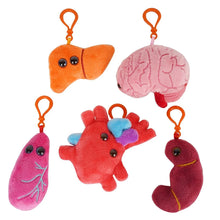 Cargar imagen en el visor de la galería, Caja de Peluches de Órganos vitales - GIANTmicrobes
