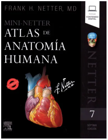 Mini Netter Atlas De Anatomía